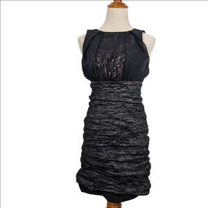 Nicole Miller Shimmer Sheath Dress Size 4